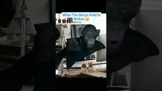 When The Merge Field Breaks