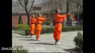 shaolin gong fu quan