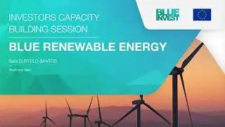 Game-changing sector in the blue economy | Blue Renewable Energy