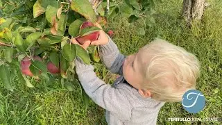 The Ternullo Team Community Spotlight Barker's Farm North Andover MA, Favorite Apple Picking Boston