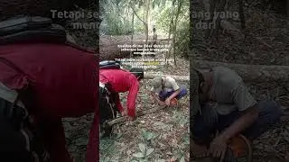masih banyak belajar.. #sinso #bengkelkayu #serkel #kayumurah #woodworking #kayuagung #chainsaw