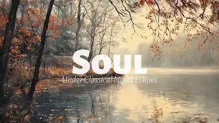 Quiet harmonies for healing moments and warm embrace | classical elegant
