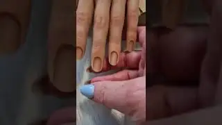 Резиновая модель #shorts #nail #shortnails #shortvideo #manicure