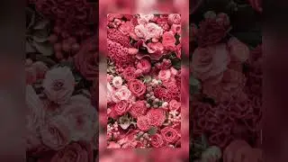 Cool Flower Wallpapers For Your Phone