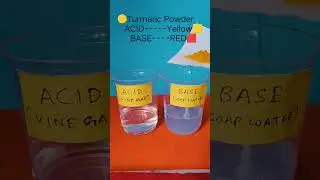 Acid Base Turmeric Powder Test (Vinegar and Soap Water) | Class 7 Science Experiment