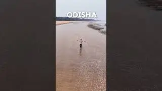 The sea shell beach of ODISHA