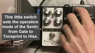 Low Tuned Gear Reviews Episode 15: TC Electronic Sentry Noise Gate