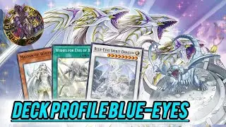 Blue-Eyes Deck Profile + Combos