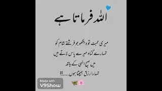 Beshk 🌹