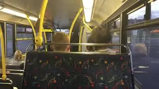 *Cooling Fan* Dublin Bus ALX400 Volvo B7TL AX468 (06-D-30468) | Route 54A