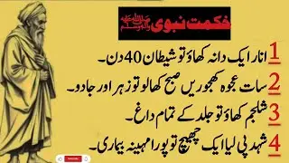 Powerful Islamic Wisdom Quotes | Hikmat-e-Nabvi | Urdu Wisdom Sayings | Important Islamic Lessons