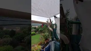 Regenwasser mit einer Plastikplane auffangen