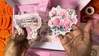 Planner Haul! Live Love Posh Chic Coquette Posh Box!