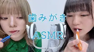 【ASMR】両サイドから歯を磨く【歯みがき学園】