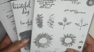 Чудо-штамповка подсолнухов на одном листе #stampinup #celebratesunflowers