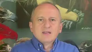 LA CALLE SIN ALEGRIA Video ensayo Jose Pisano Agosto2025