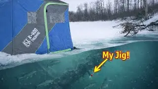 Ice Fishing CRAZY Rainbow Trout- WILD DAY!