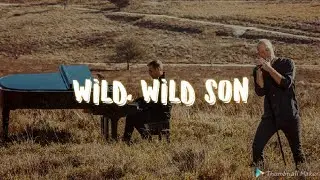 Armin van Buuren ft. Sam Martin - Wild Wild Son | Subtitulos en Espa&ntilde;ol