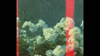 [FREE] rxseboy x powfu lofi type beat - 