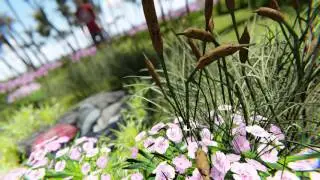 Animated Nature Scene with  