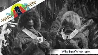 C023 The Ark | Who Back When review