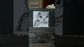 Drawing an Owl Part 8 in Progress Drawing #shorts #art #animaldrawing