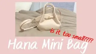 JW Pei Bag Hana mini Faux: Она слишком маленькая????