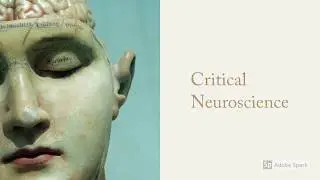 Book Review - Nicolas Rose - Our Psychiatric Future