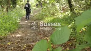 Hove Park School Valley Challenge Walk
