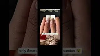 Wait for end  #cute #cat #surajshortsx #shorts @SURAJzzzz #shortsfeed #funny