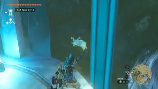Pristine Sanctum Bubble Frog Location | The Legend of Zelda Tears of the Kingdom | Sharv Bit Gaming