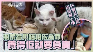 無家者與4隻貓相依為命　1貓疑被偷　終獲派公屋與貓貓上樓　「總之你養得佢，就負好自己責任」　#一線搜查