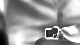 FLIR G300a: Lighter Gray Color Pallete