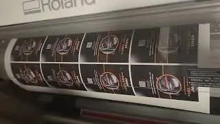 Sticker Printing from SP300i