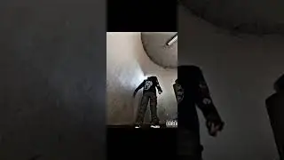 10 bluntz (first day out tigermix)