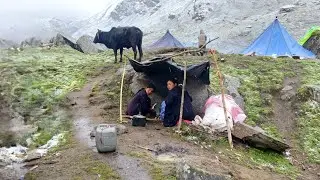 Nepali Mountain village life into the SnowFall Time | Daily Activities of Rural village life Nepal