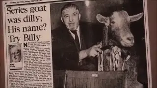 Billy Goat Tavern, famous Saturday Night Live skit topic