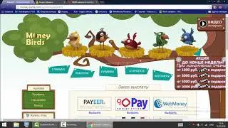 ЛОХОТРОН Money birds 10000 вложил и сколько вывел