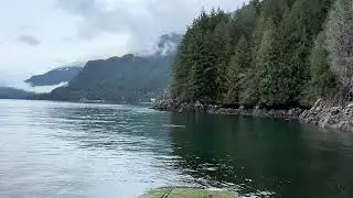 🌊 1 Hour of Pacific Ocean Waves | Incredible Nature for Deep Sleep, Relaxation & Meditation
