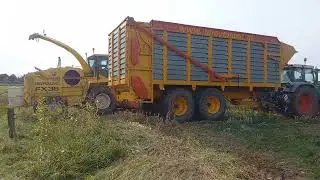 Mais hakselen bij Mts. Dijk - Ulderink Laag Zuthem