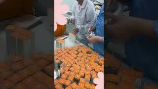 Behind The Scenes | Asaya's K-Beauty Edit In The Making
