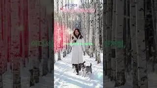 결국 또 사고친 와카코 신상 커피머신 #픽사프레소