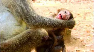 My Heart Breaking... Angel weaning Ada hardly, Mummy fight baby strongly, Very pity on baby