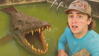 Ho trovato un pesce velenoso in una piscina abbandonata!