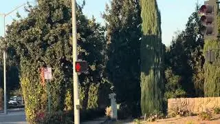 ￼LED Dialight pedestrian signal with broken countdown timer