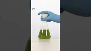 抖音 化学红绿灯～溶液含靛蓝胭脂红、葡萄糖和碱。静置时色素分两步被葡萄糖还原，摇动又被空气中的氧气氧化，颜色随之改变