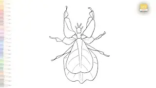 Leaf insect drawing easy | Art tutorial  sketches | How to draw Leaf insect step by step #artjanag