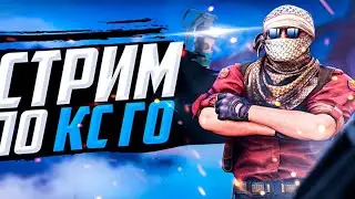 CS:GO