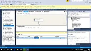 SSIS Dynamic SQL Command