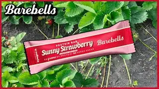 Benjamin Testar | Barebells Protein Bar Sunny Strawberry Limited Edition 🍓